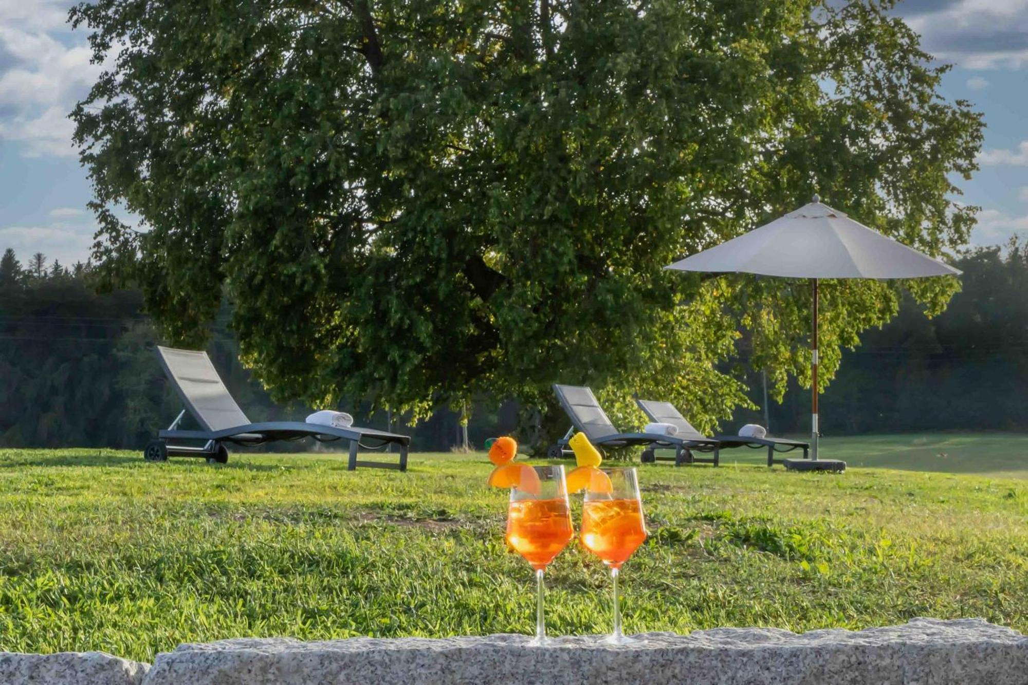 Wellnesshotel Sonnenhof & Sonnhalde Uehlingen-Birkendorf Luaran gambar
